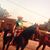 MeLinda Sparks Baca's profile image