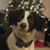 Christopher Giesin's profile image