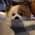 Dawn Lopes-Cabral's profile image