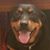 Kim Parker Schuler's profile image