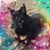 Sharon Hockenbury's profile image