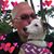 Randy Mapel's profile image