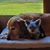 Valerie K. Schroeder's profile image