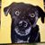 Charlotte Heppner's profile image