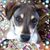 Barbara F. Macdaid's profile image