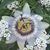 Vicki Lavagnino's profile image