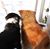Nancie Gooden's profile image