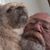 Clell C Crawford's profile image
