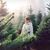 Sarah Plett's profile image