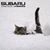 Riki Caraballo's profile image
