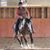 Felicity Van Runkle's profile image