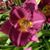 Barbara Cramer Watkins's profile image