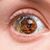Olga Hoenes's profile image