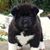 Jim Morris's profile image