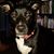 Larry Esco's profile image