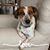 Tricia Carter Boaz's profile image