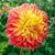 Mohammed-Khairu Yusif's profile image