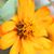 Yosra N Banjar's profile image