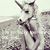Stephanie Hammel's profile image