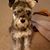 Christopher William Caudill's profile image