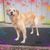Lyndie Decker's profile image