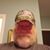 Steve Hitchcock's profile image