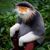 Michael Blair's profile image