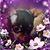 Nikki Nuggeti's profile image
