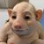 Pat Lumpkin's profile image