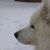 Stephen Goto's profile image