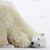 Barbara Mahaney-Hood's profile image