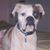 Marlene Peele's profile image