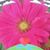 Christy Wiles Torkko's profile image