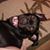 JodyandPaul Bodie's profile image