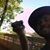 Nathan Rayfield's profile image