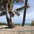 Vicki Litzie's profile image