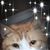 Crystal Bittner's profile image