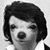 Rocko Flako's profile image