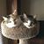 Michel Ann Winters's profile image