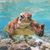 Linds Buckmiller's profile image