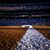 Sherry Geraci's profile image