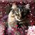 Mika Takano Spottz's profile image