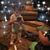 Sandy Williams DaVico's profile image