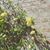 Roberta L Cleary-Marquart's profile image