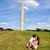 Saira Elizabeth's profile image