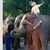 Donna Sperry Scheiner's profile image