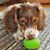 Sue Wortner Campbell's profile image