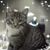 Rachelle Kadow's profile image