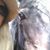 Allison Lockwood Hansen's profile image
