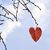 Dana Ratzburg Hellinger's profile image